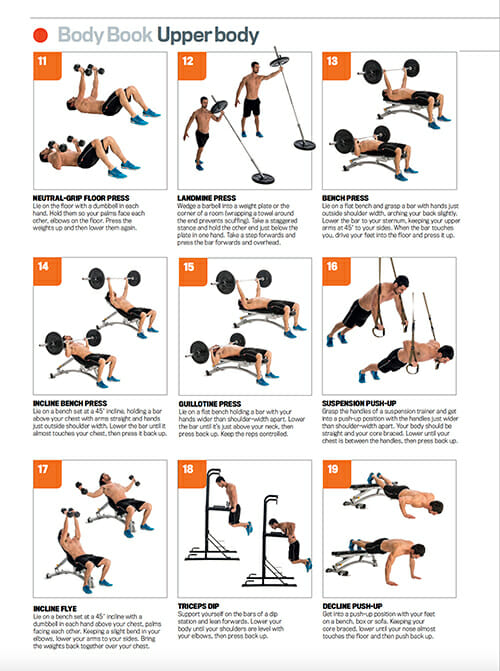 Free Workout Poster: Upper Body - Men's Fitness Online