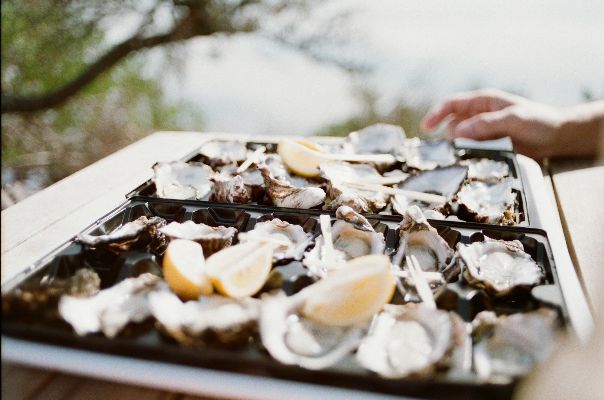 The Ultimate Valentine’s Day Dinner: A Meal That Sets the Mood