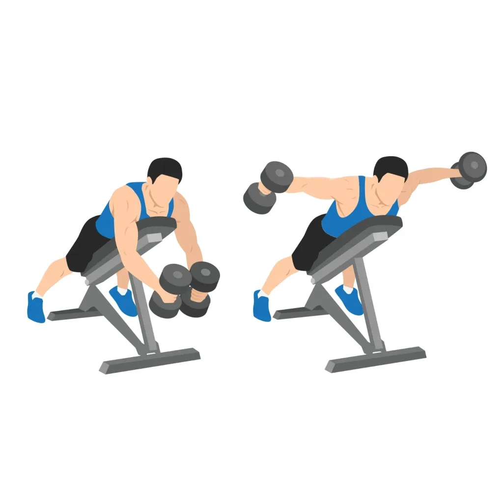 Illustration of a chest-supported rear-delt fly on an incline bench with dumbbells
