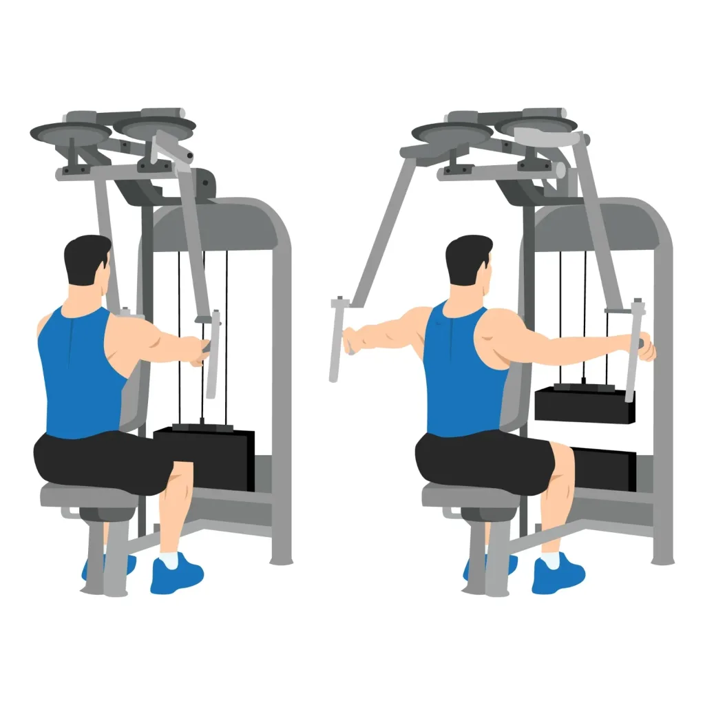 Illustration of a seated reverse pec-deck fly for the rear delts