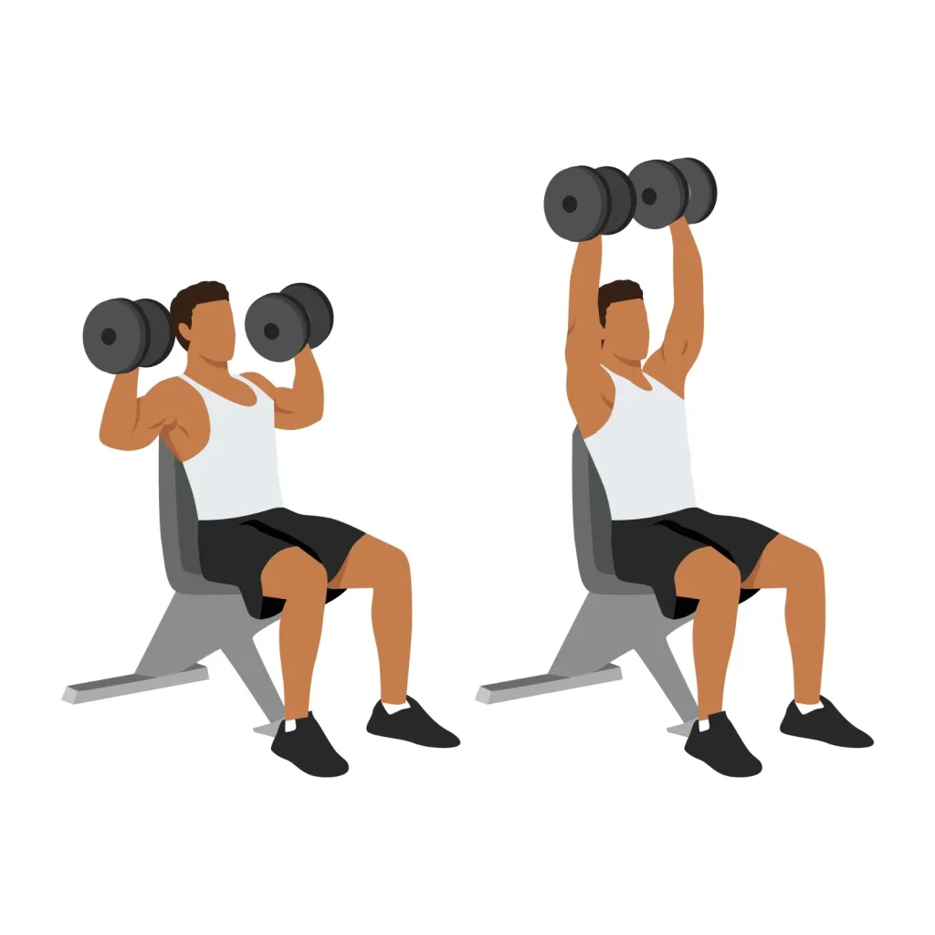 Illustration of a seated dumbbell shoulder press, dumbbells at shoulder height then pressed overhead
