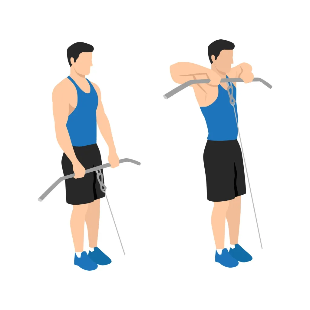 Illustration of a cable upright row with an EZ bar pulled to chest height