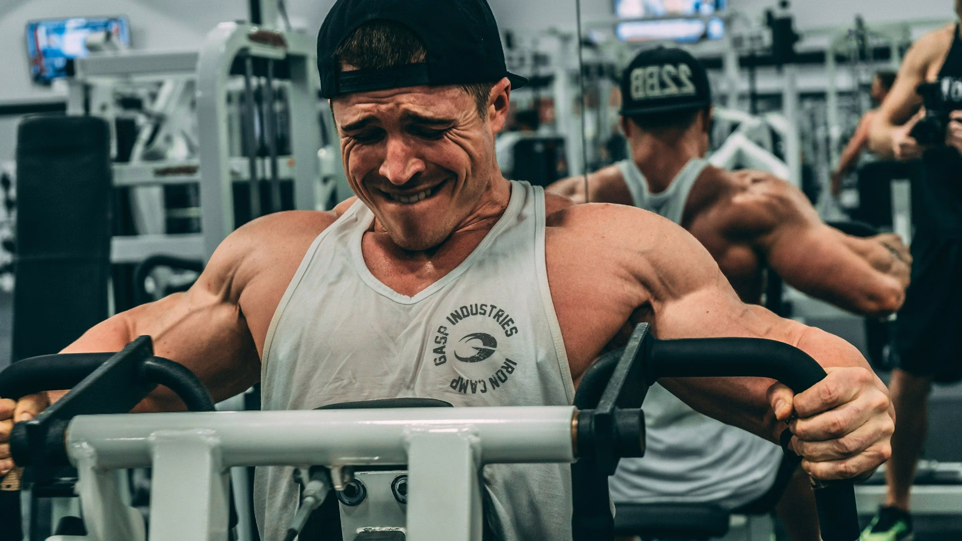 Your Biceps Remember: Muscle Memory is Real