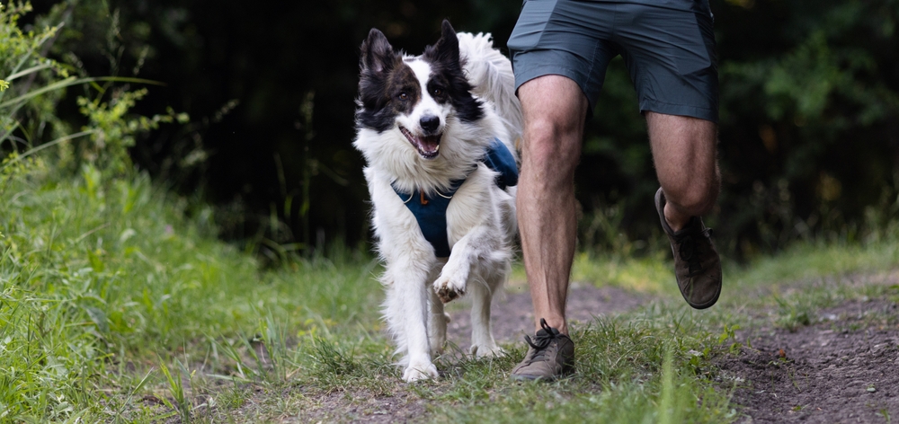 man running with dog