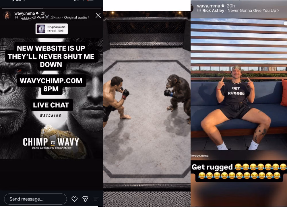 Everyone Expected a Chimp Fight. What They Got was Crypto and a Donation Link