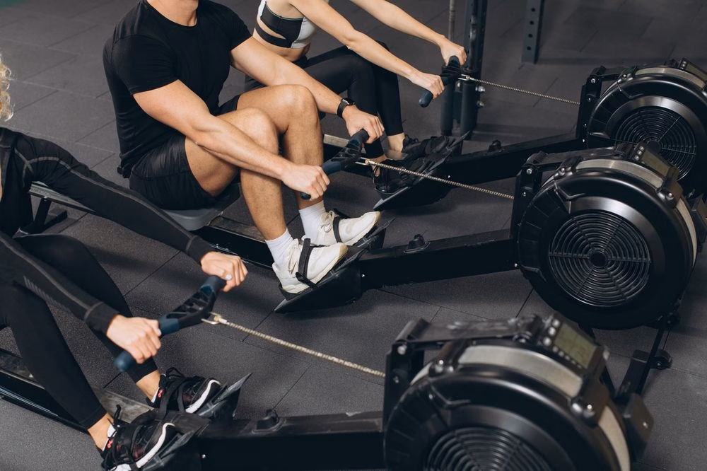 People using rowing machines side by side in a gym