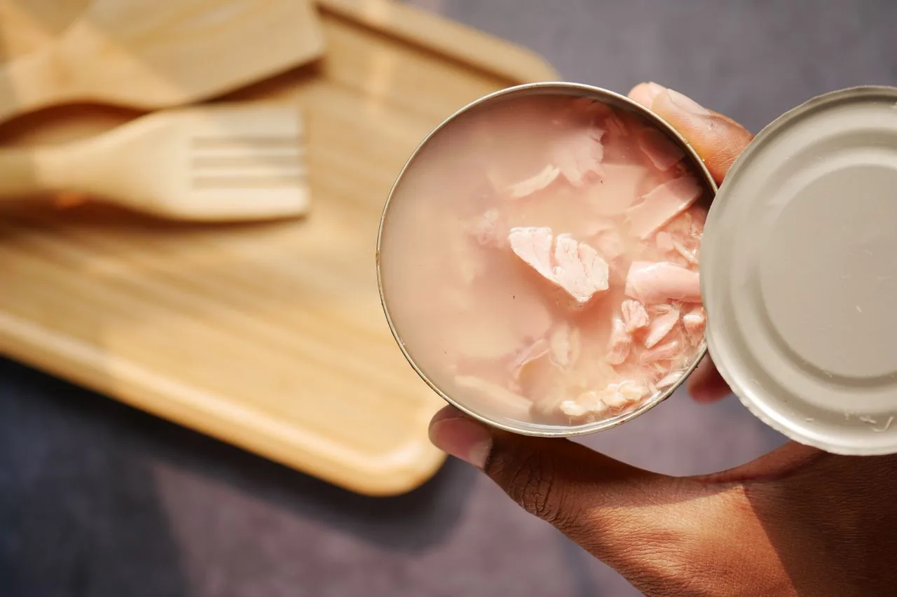 Tinned tuna in spring water, a high-protein snack