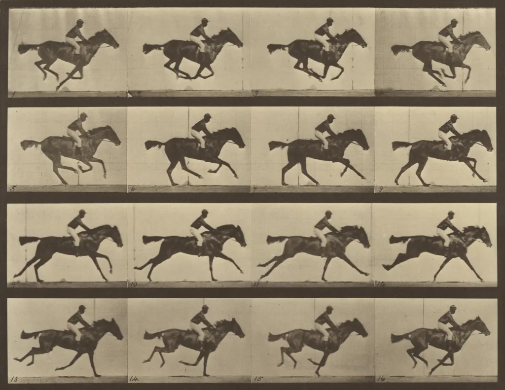 Eadweard Muybridge’s photo sequence of a jockey on a galloping horse, in 16 frames