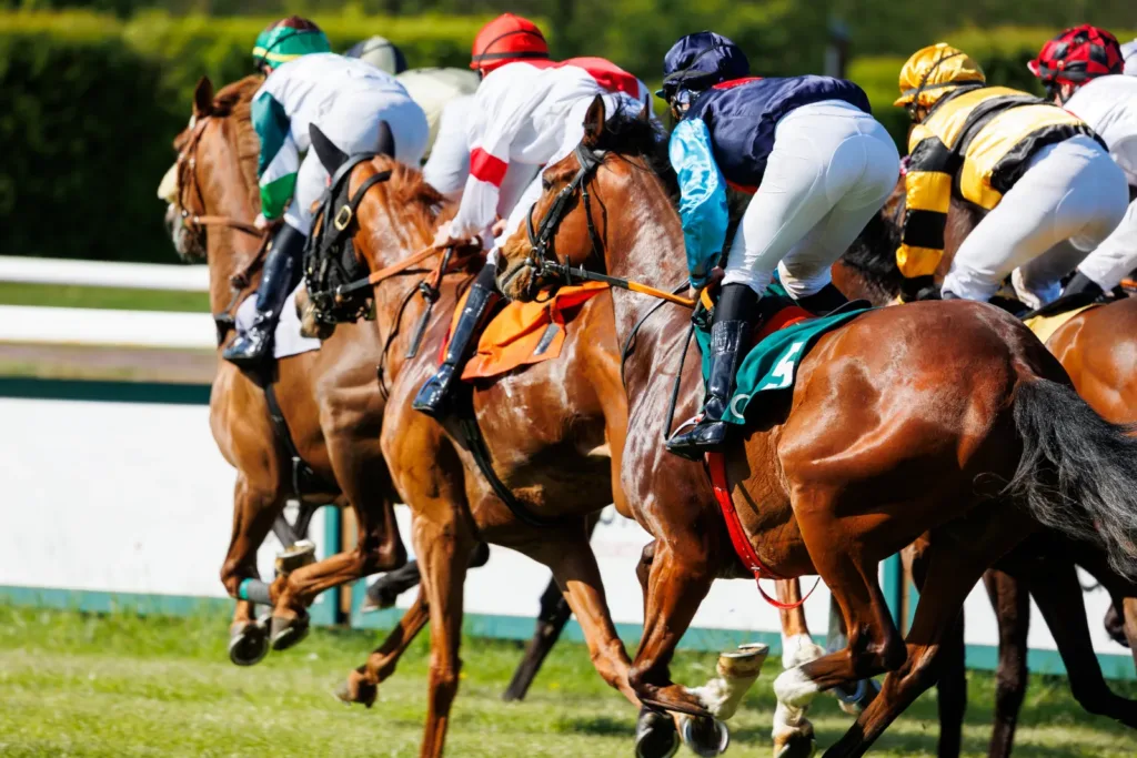 Jockeys crouched over their horses at full gallop