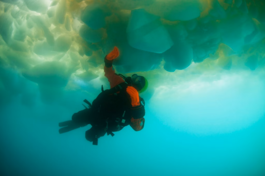 A diver in a black drysuit with orange gloves swims beneath a ceiling of sea ice