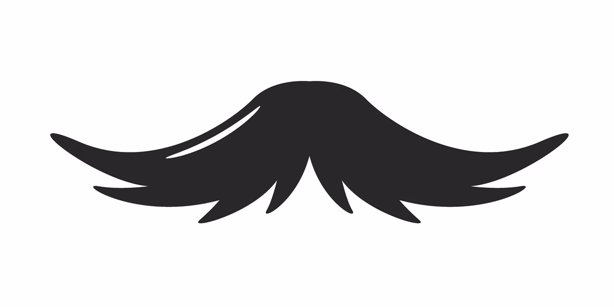 Illustration of a Hungarian moustache