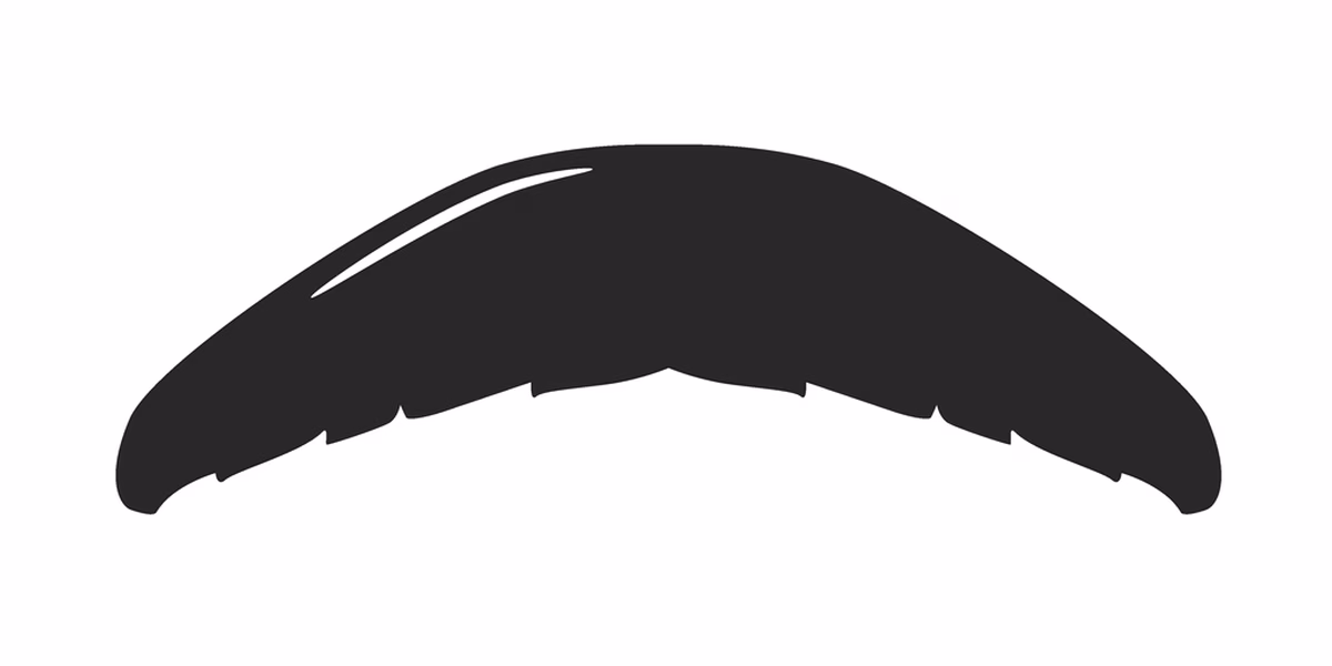 Illustration of a painter’s brush moustache
