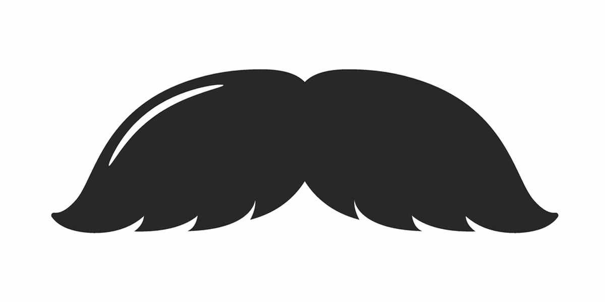 Illustration of a walrus moustache