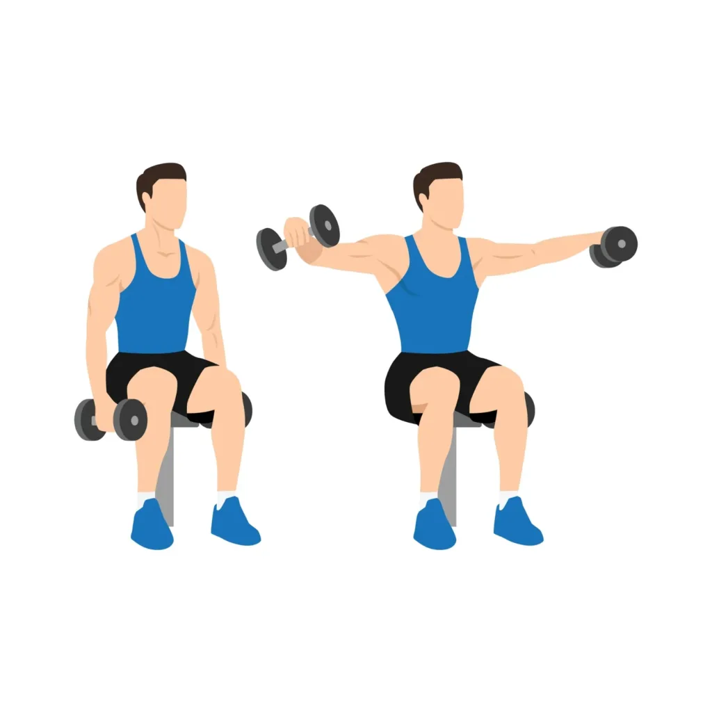 Illustration of a seated dumbbell lateral raise, arms raised out to shoulder height from a bench