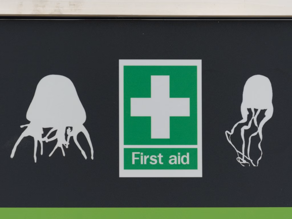 Beach first aid sign with jellyfish silhouettes either side of a green first aid symbol