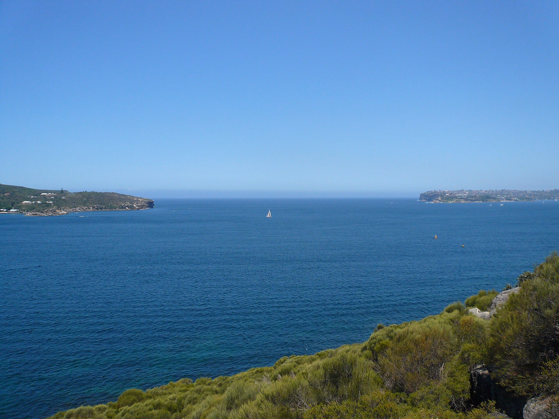 Looking out from bush on Dobroyd Head across blue water to North Head on the left and South Head on the right, with a single yacht between them